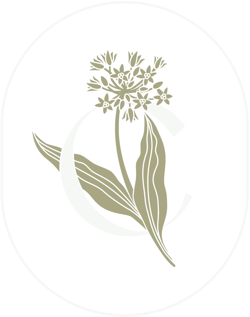 Capitol Restaurant & Bar Bern